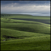 The Grass Really is Greener In the Flint Hills