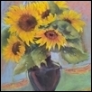 Flint Hills Sunflowers
