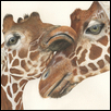 Mom & Baby Giraffes