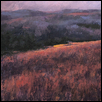 Blue Meadow