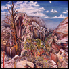 Angel's Landing 2