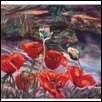 Poppies at Monet Pond