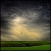 GOLDEN HOUR DOWNPOUR -- Artist: Mark Clarke Size: 20" x 10" Medium: Photography Price: $600.00