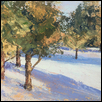 Cedars in Back