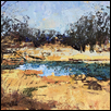 Beaver Pond Reflections