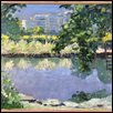 Discovery Center Pond