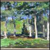 Loose Park Pines