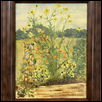 Flowers on a Sunny Day