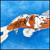 KOI. -- Artist: Janet Carpenter Size: 7.25” x 5” Medium: Watercolor Price: $175.00