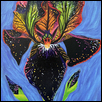 Intergalactic iris