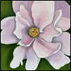 Single Pink Peony