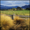 Hay Field (New Zealand)