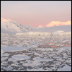 Midnight Blush (Antarctica)