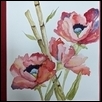 Paper poppies - Oriental