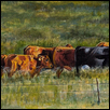 Parade of Cows