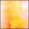 Bright Yellow With Bass Notes