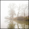 Foggy Winter Lake