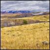 Montana Prairie