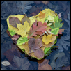 THE HEART OF FALL -- Artist: Sara Racer Size: 18" x 24" Medium: Photography Price: $150.00