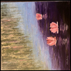 Water Lilies Pop and Float