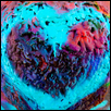 Cadillac Heart
