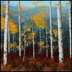 Aspen Grove