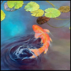 Koi Pond