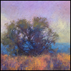PRAIRIE OASIS -- Artist: Mike Flora Size: 12” x 9” Medium: Pastel Price: $460.00