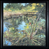 Pond Fall Foilage