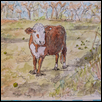 Grazing in Summer