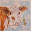 Sweet Bessie