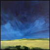 Night Prairie