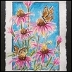 Butterflies and Coneflowers
