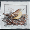 CAROLINA WREN -- Artist: Tammie Dickerson Size: 6" x 6" Medium: Watercolor Price: $195.00