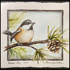 CHICADEE AND PINE -- Artist: Tammie Dickerson Size: 6" x 6" Medium: Watercolor Price: $195.00