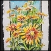 COREOPSIS -- Artist: Tammie Dickerson Size: 6" x 4" Medium: Watercolor Price: $175.00