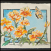 Crossandra and Nutterfly