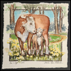 Hereford Cow and Calf