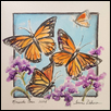 MONARCHS FOUR -- Artist: Tammie Dickerson Size: 6" x 6" Medium: Watercolor Price: $195.00