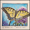 TIGER SWALLOWTAIL -- Artist: Tammie Dickerson Size: 6" x 6" Medium: Watercolor Price: $195.00