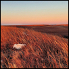 RED NOVEMBER -- Artist: Chi-Leigh Warren Size: 12" x 24" Medium: Photography Price: $425.00