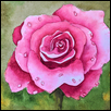 Dewdrops on a Rose