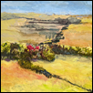 Kansas Prairie