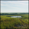 PARADISE -- Artist: Kim Kellogg Size: 10" x 8" Medium: Photography Price: $150.00