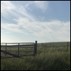 kellogg-Open sky fenced in.jpg