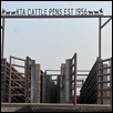 kellogg-KTA Cattle Pens
