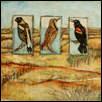 Stewards of the Flint Hills