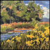Wild Coreopsis