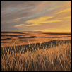 AUTUMN GRASSES -- Artist: Cathie Thompson Size: 36" x 36" Medium: Oil Price: $2,400.00