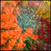 OUTBURST -- Artist: Paul Middleton Size: 11" x 8.5" Medium: Photography Price: $175.00